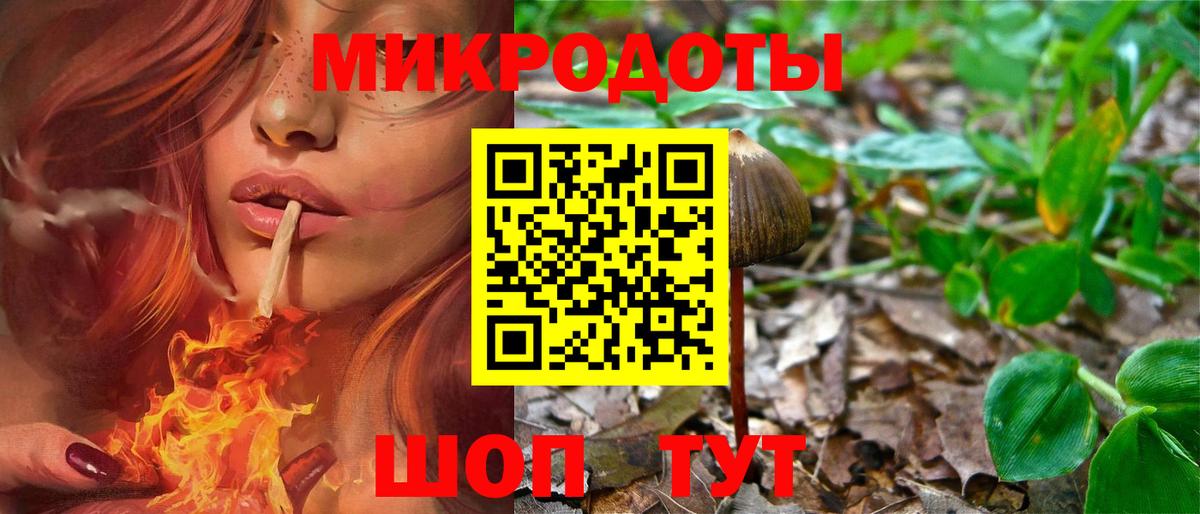 Псилоцибиновые грибы Psilocybine cubensis Лабытнанги